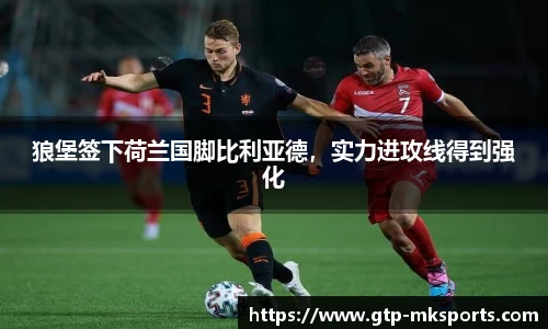 狼堡签下荷兰国脚比利亚德，实力进攻线得到强化