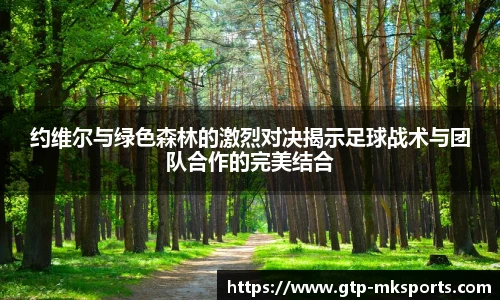 mk体育官网